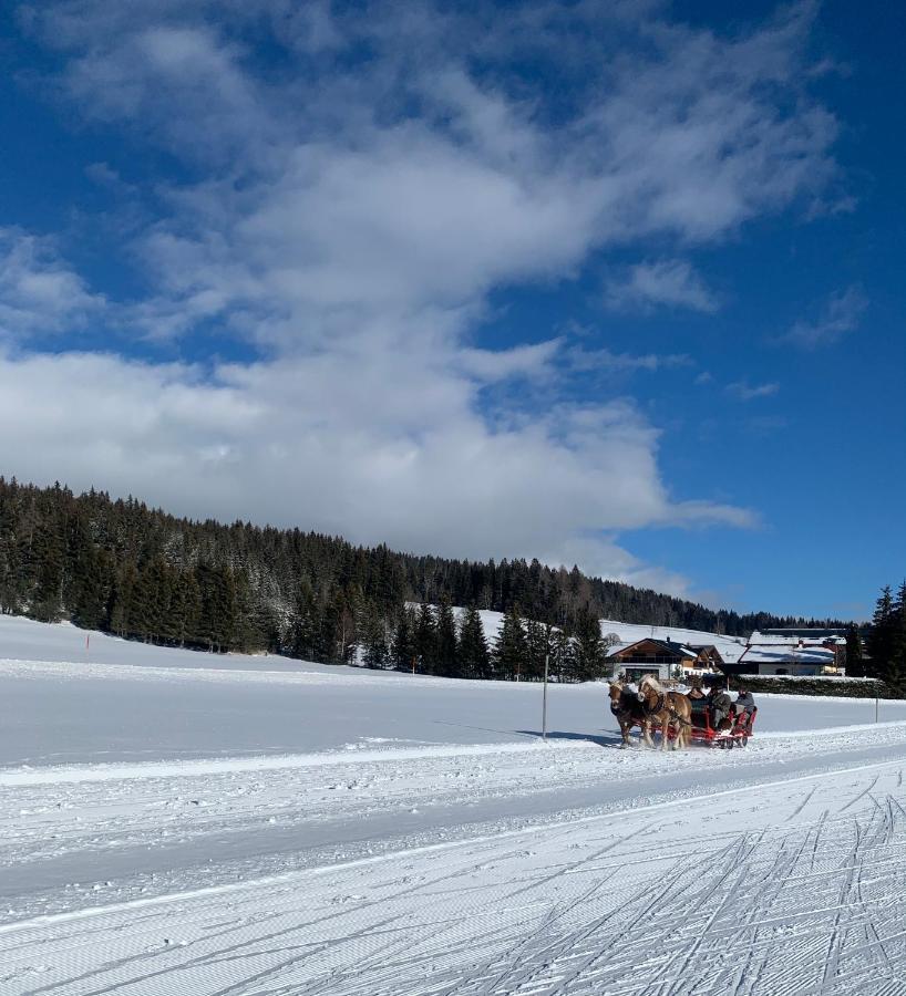 Appartamento Haus Anna Ramsau am Dachstein Esterno foto